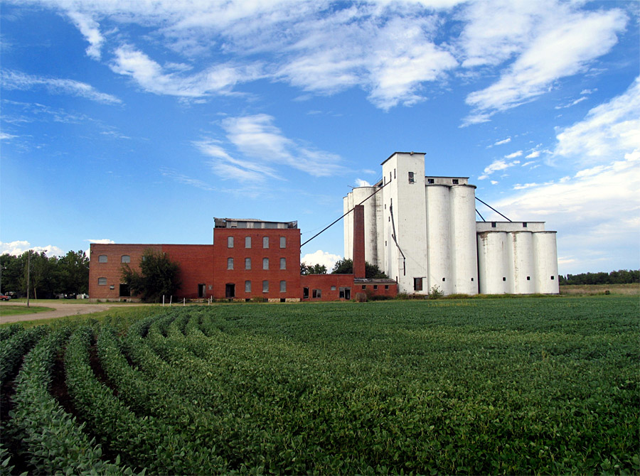 Soybean Field and Mill Site