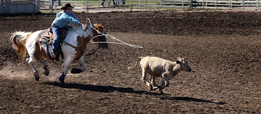 Calf Roping