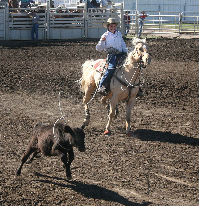 Critical Moments in Calf Roping #2