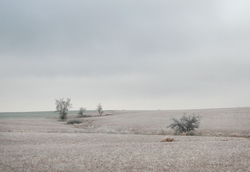 On the Edge of Winter