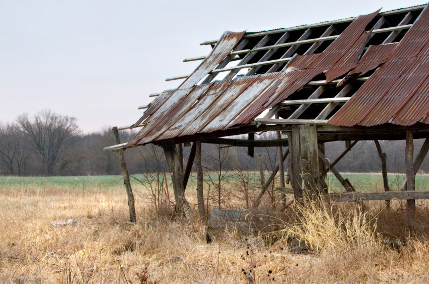 Tin Roof