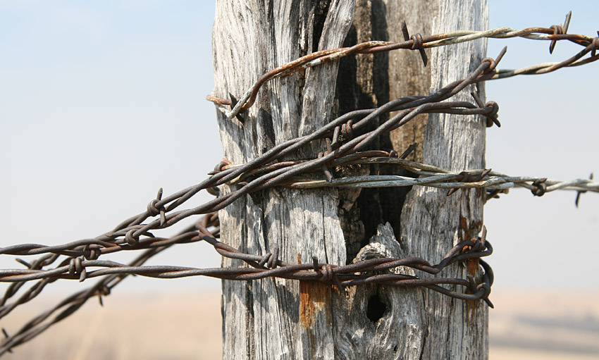 Barbed Wire