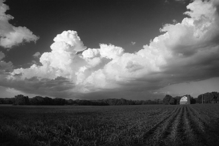 New Corn Field and Storm Clouds