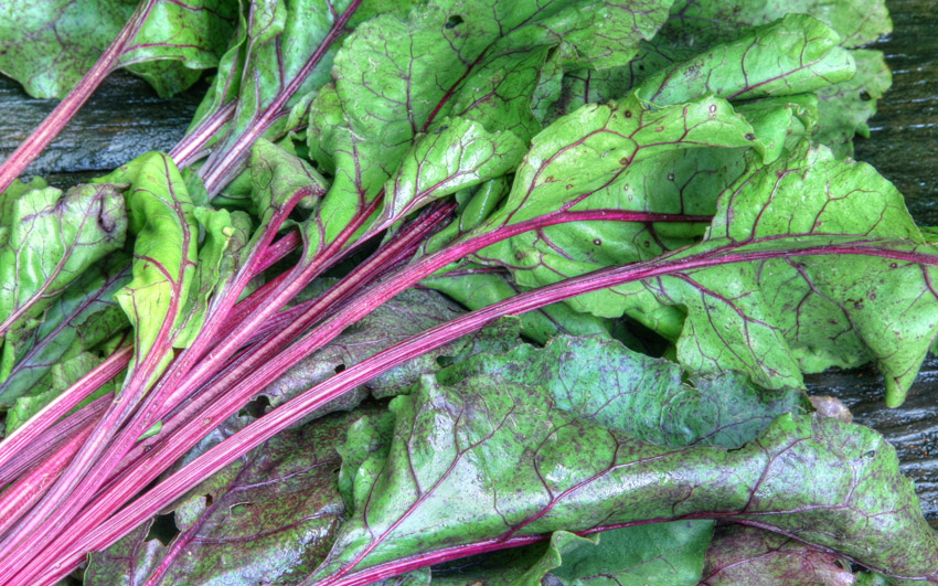 Fresh Beet Leaves