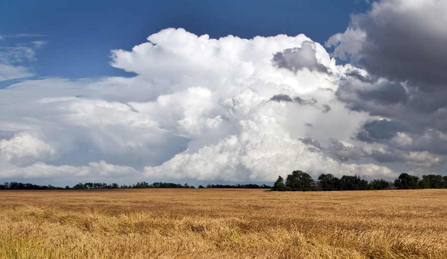 Cathedrals of the Plains