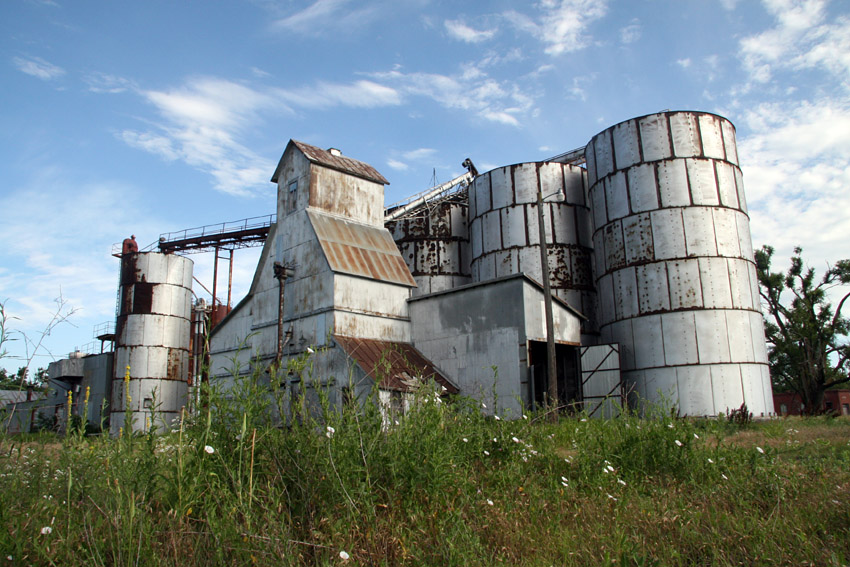 Delavan Elevator w/ Wildflowers