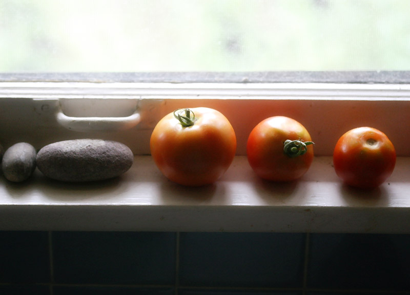 Ripening Tomatoes