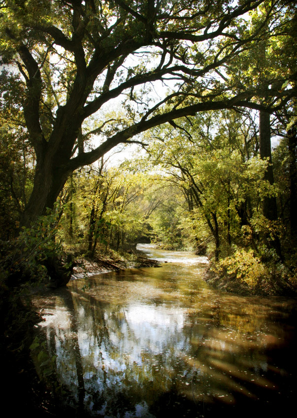 Flint Hills Stream