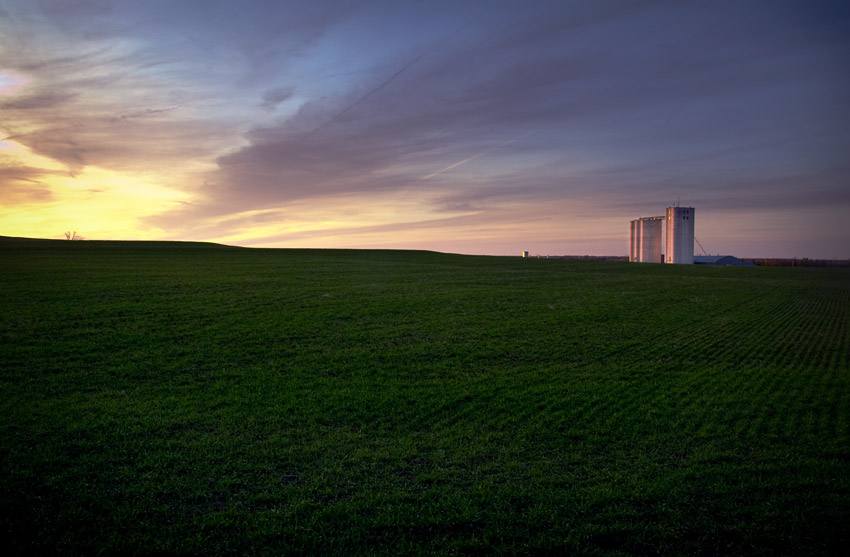 Carlton Elevator & Winter Wheat