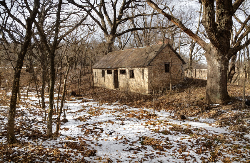 Chicken Coop 2