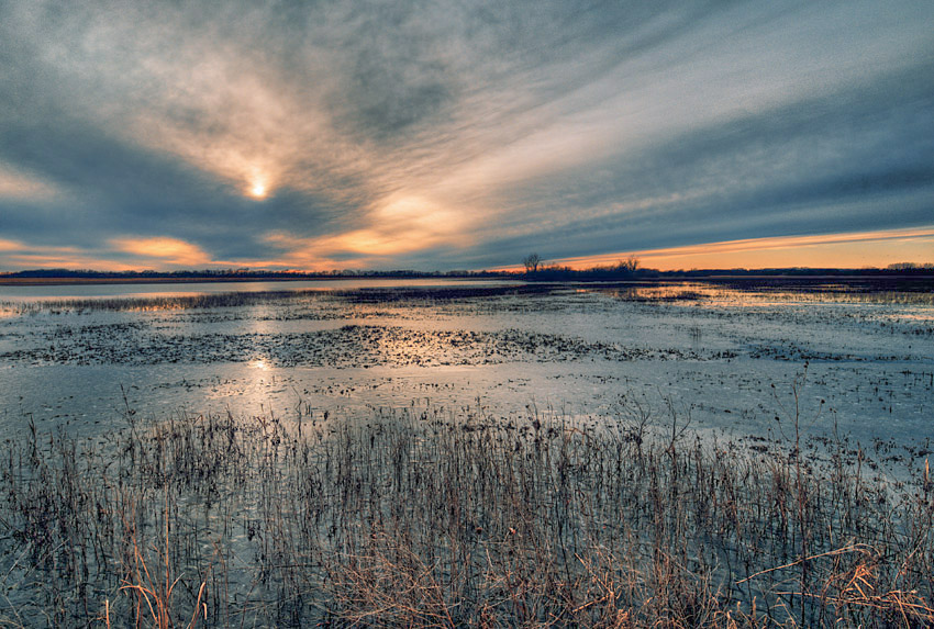 Late Afternoon on the Wetlands