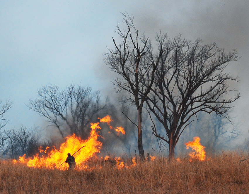 Spring Burn