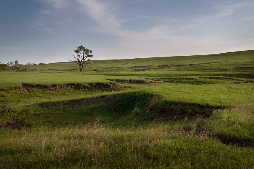 Springtime in the Flint Hills