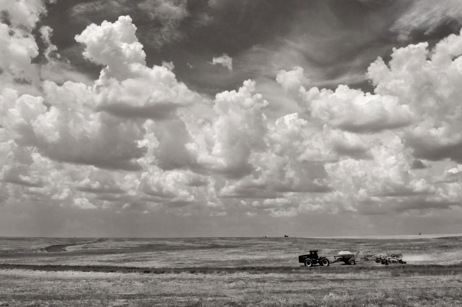 Tending the Fields