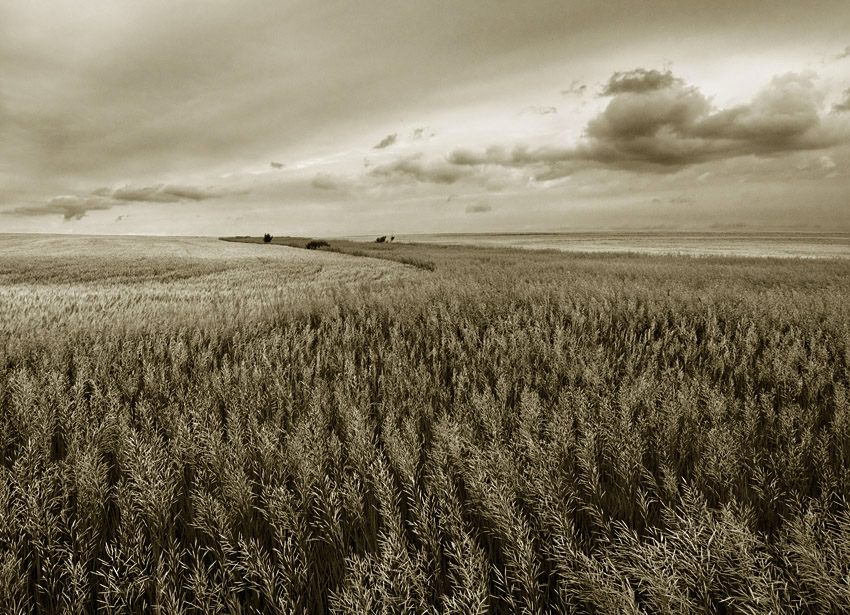 Farmland Textures