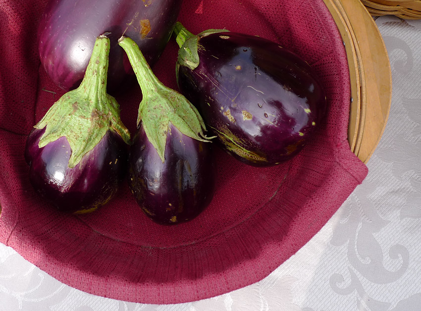 Self Portrait in Egg Plant