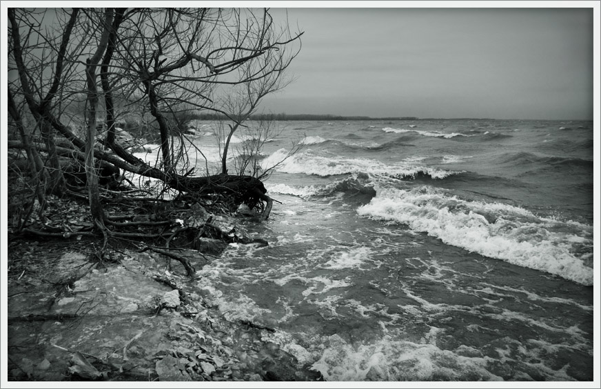 Lake’s Edge & Gathering Storm