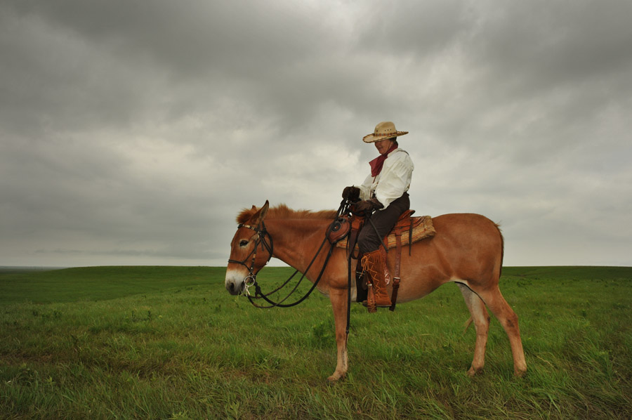 Flint Hills Portrait