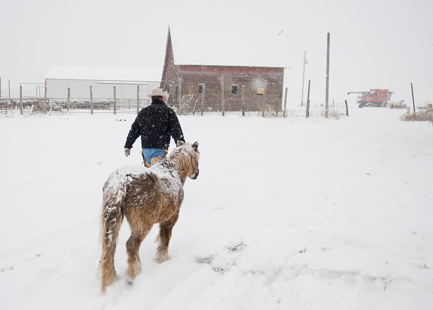 Back to the Barn