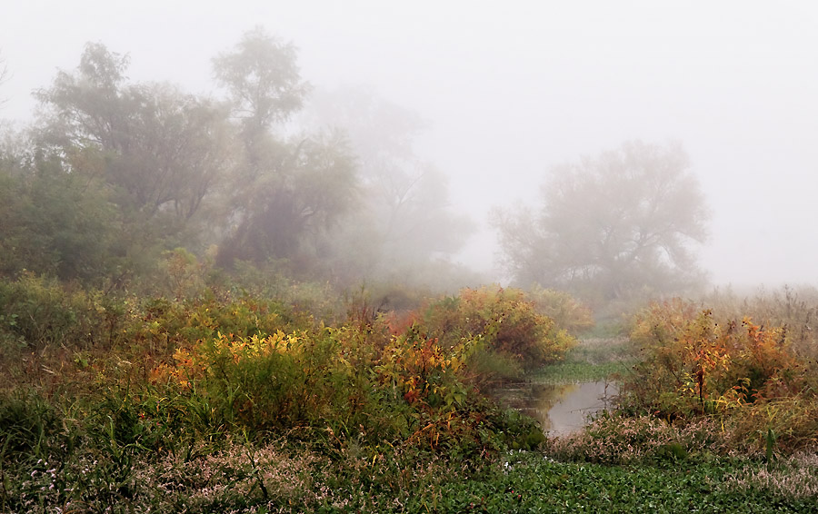 Burgess Marsh – Autumn Colors