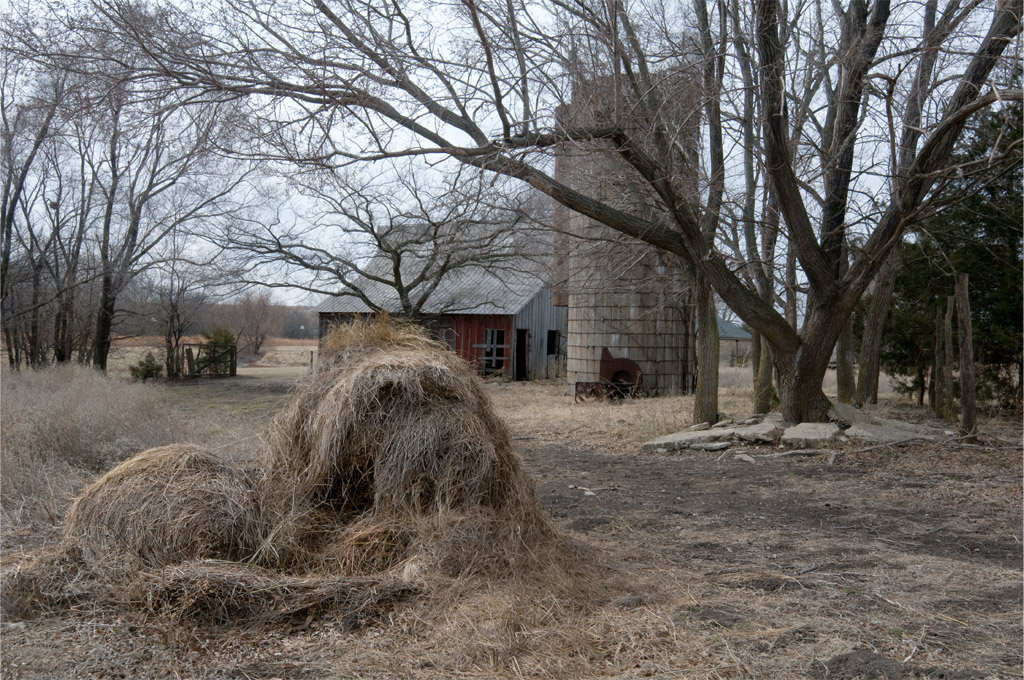 Hay, Dog!