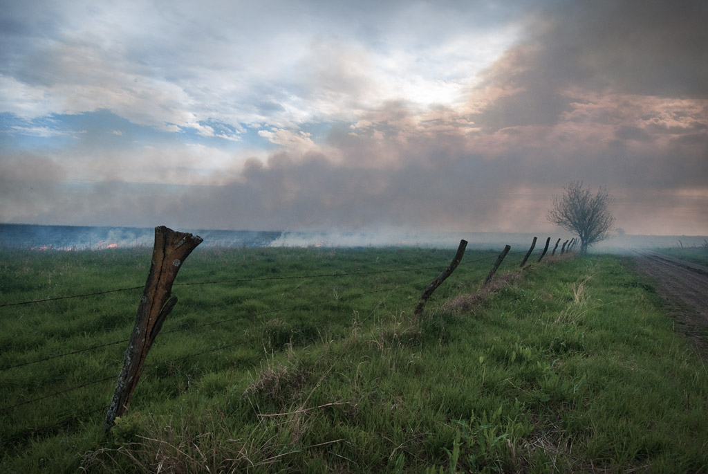 Smoke and Fenceline