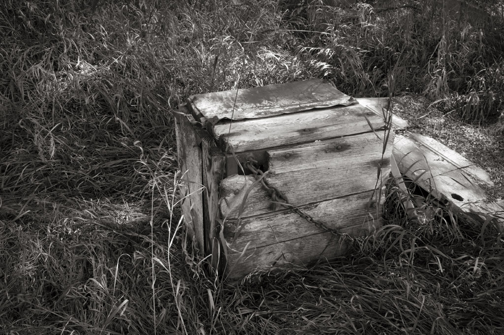 Box in the Woods