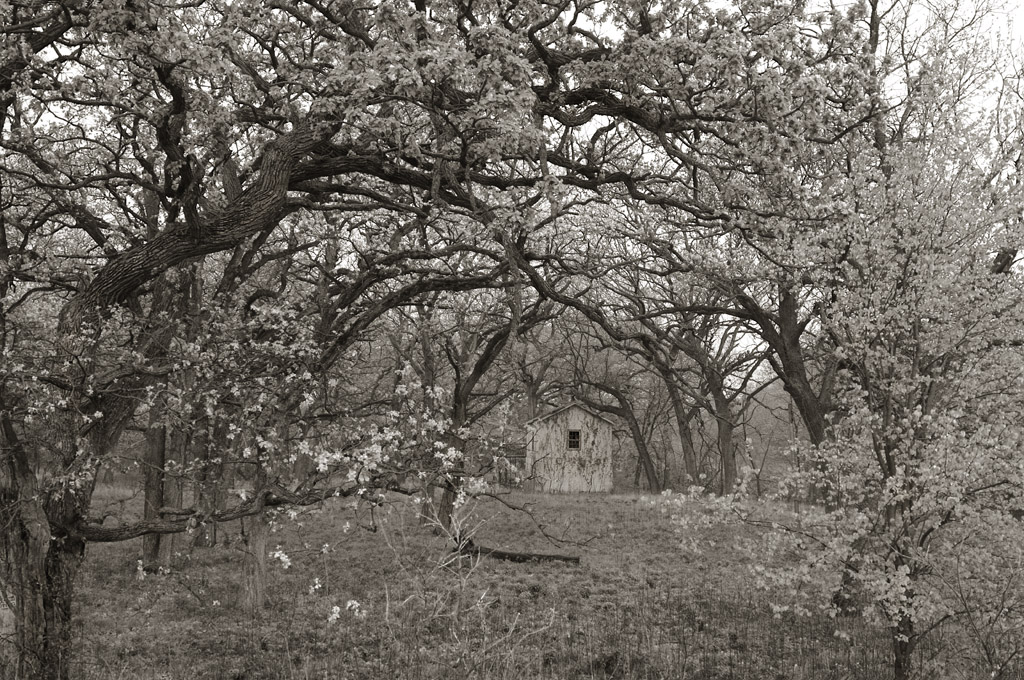 River House (monochrome version)