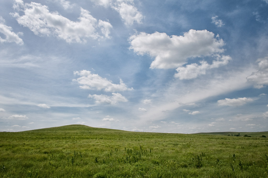 Where Clouds are Born