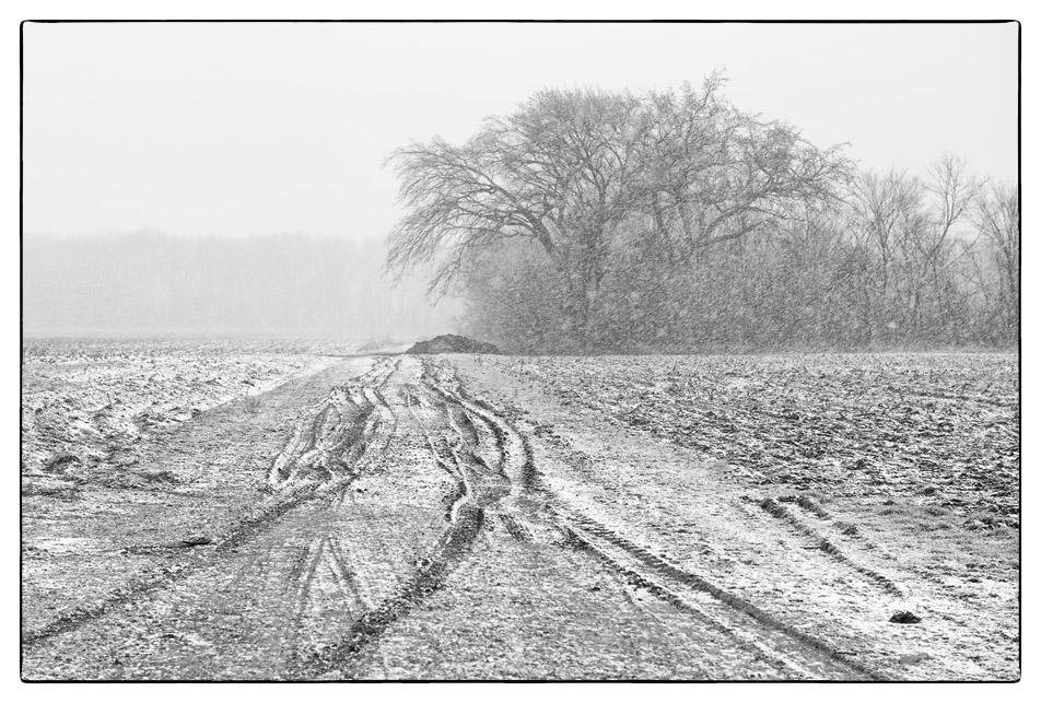 Dirt Field Road – Winter