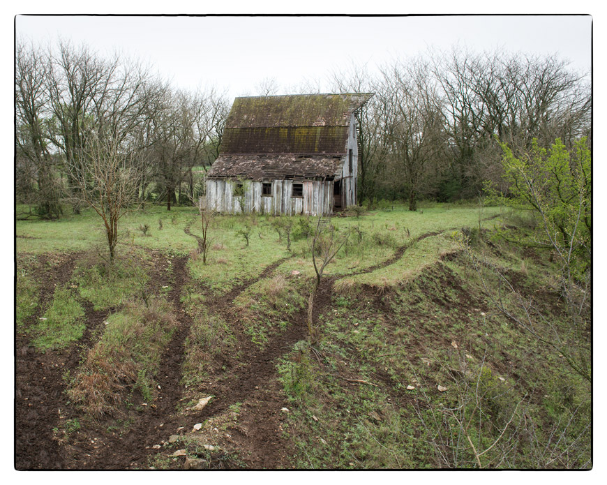 Cattle Paths