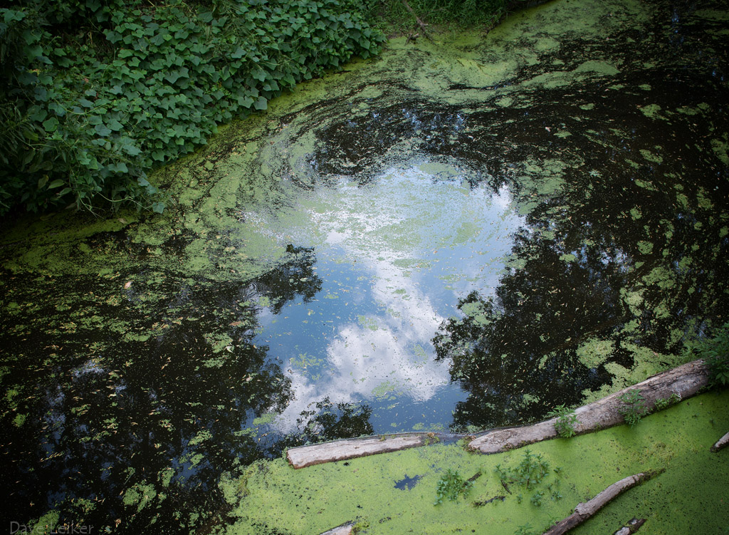 Creek Pool