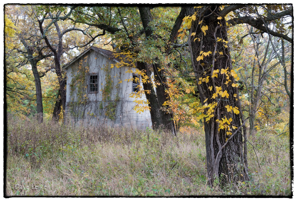 Pump House – Autumn