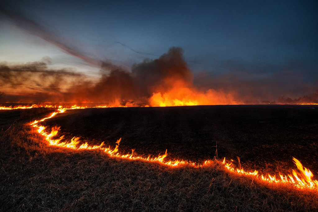 Prairie Burn #2135