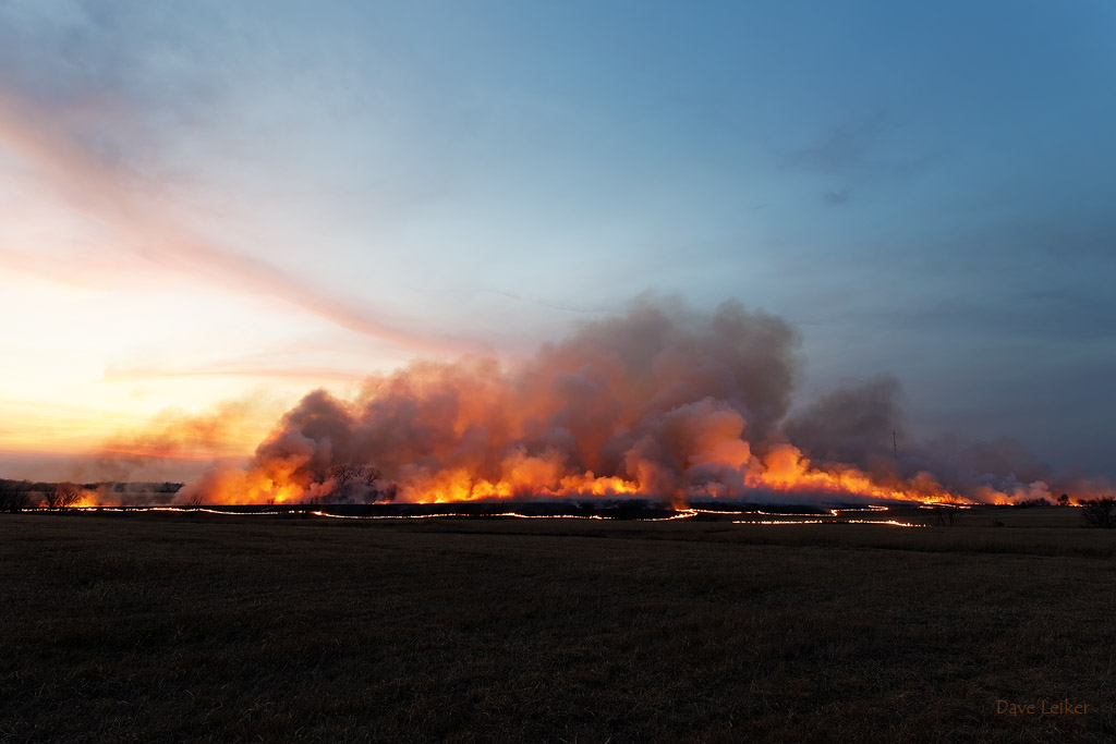 Prairie Burn #2093