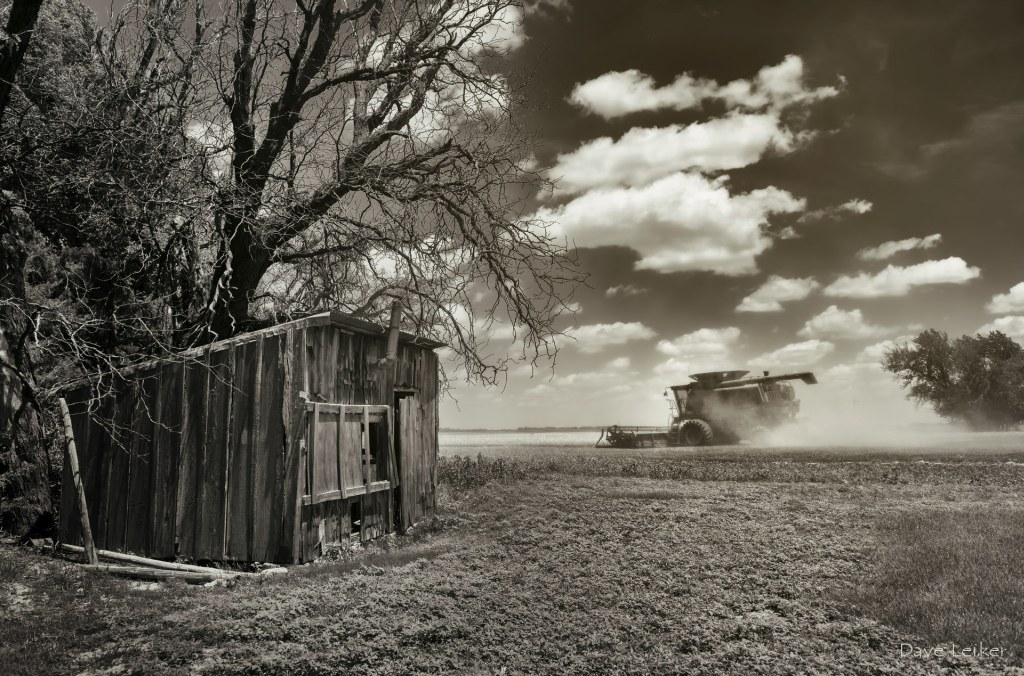 Wheat Harvest & Shack