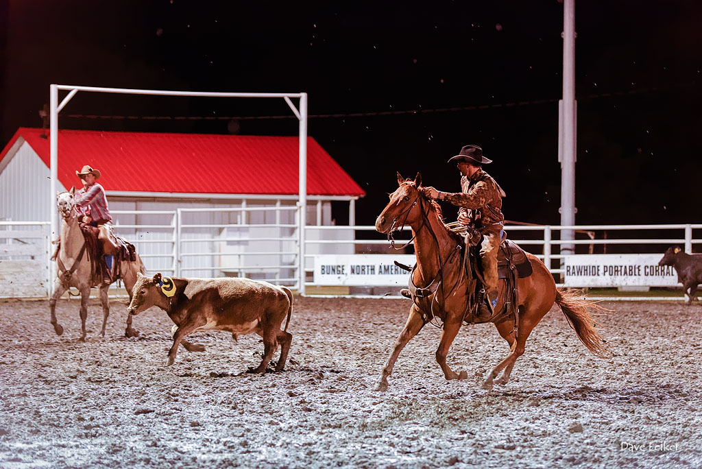 Rodeo in the Mud #1