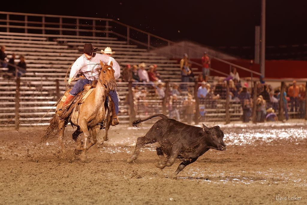 Rodeo in the Mud #3