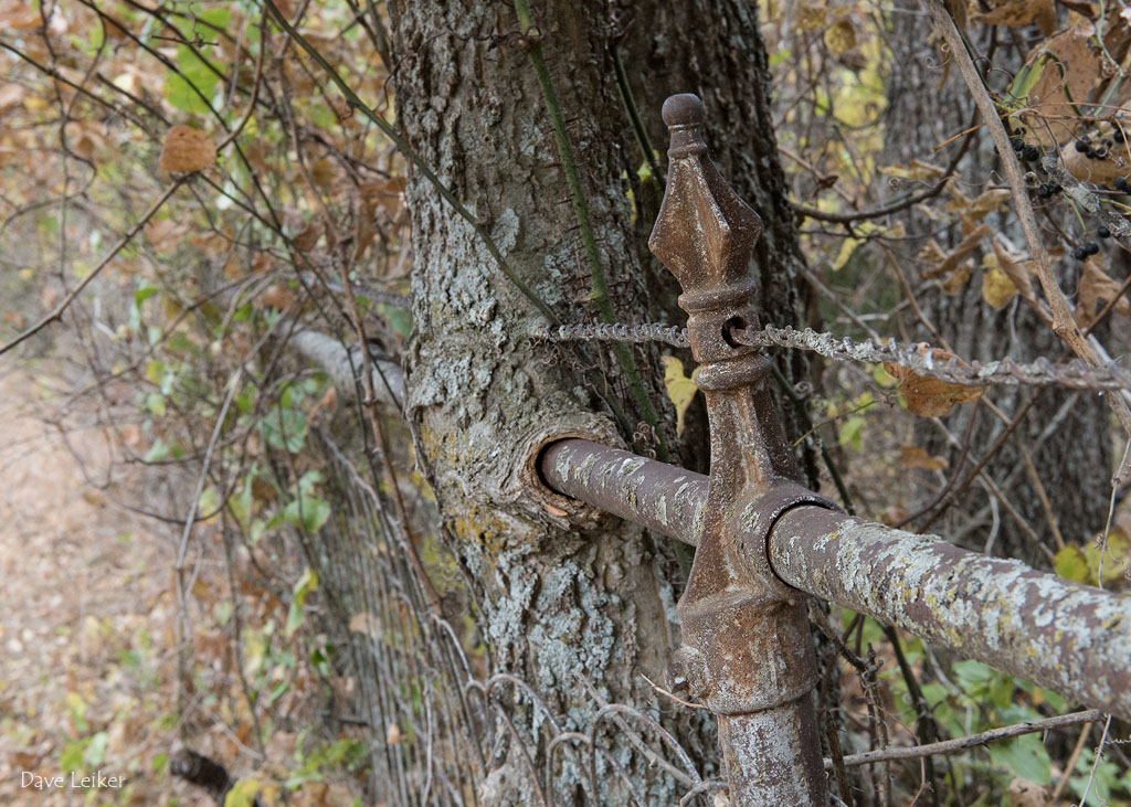 Fence Post at Ivy Cemetery