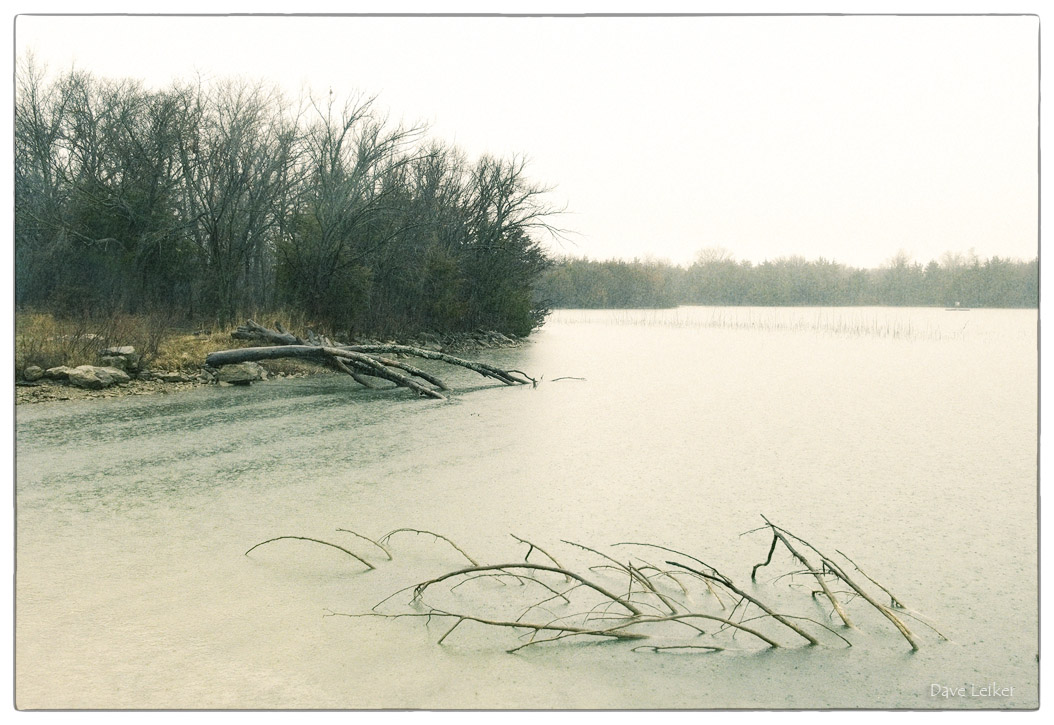 Rainy Day Shoreline