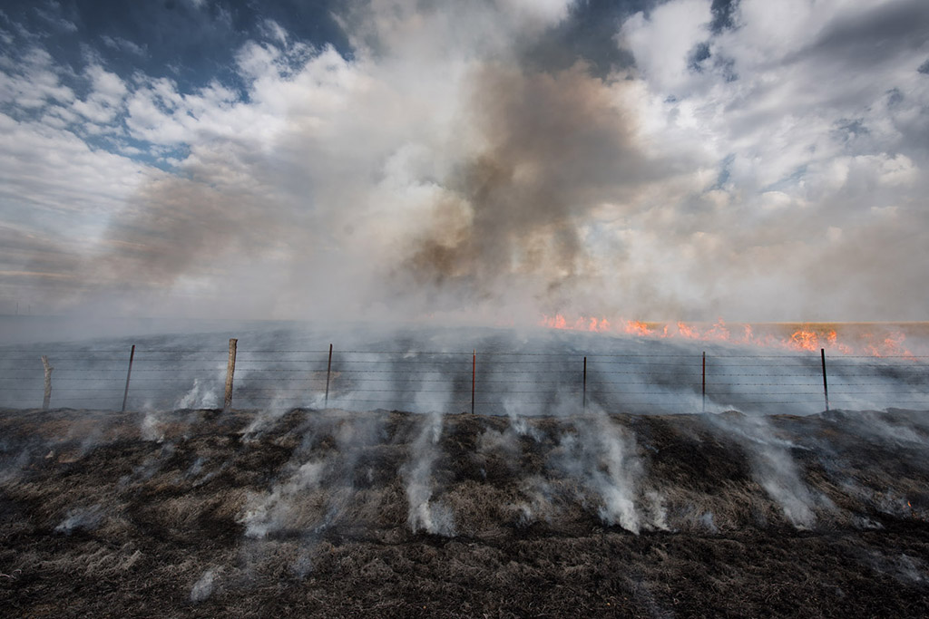 Prairie Burn