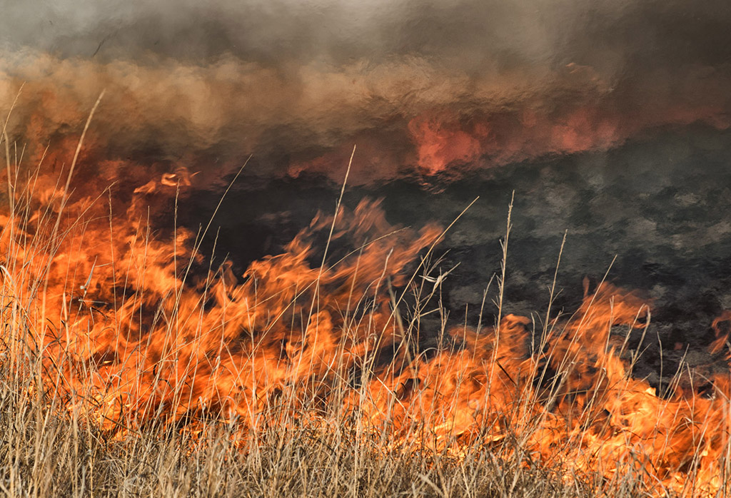 Prairie Burn