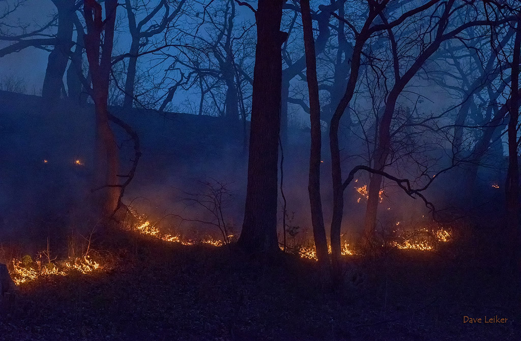 Fire at the Roots