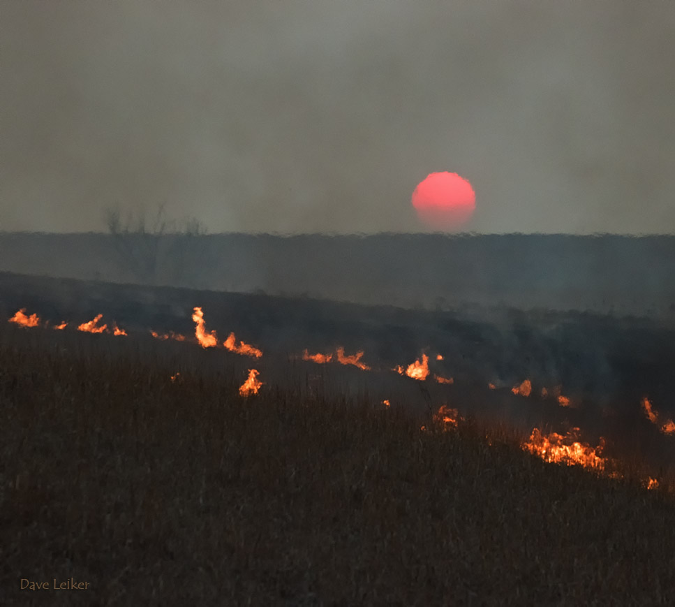 Praire Burn Sunset