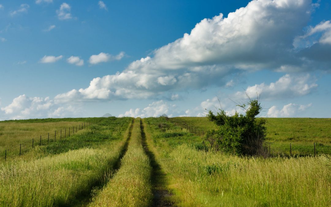 The Seductive Unpredictability of Minimum Maintenance Roads