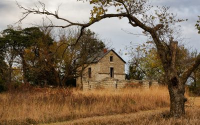 Remains of limestone home and tree