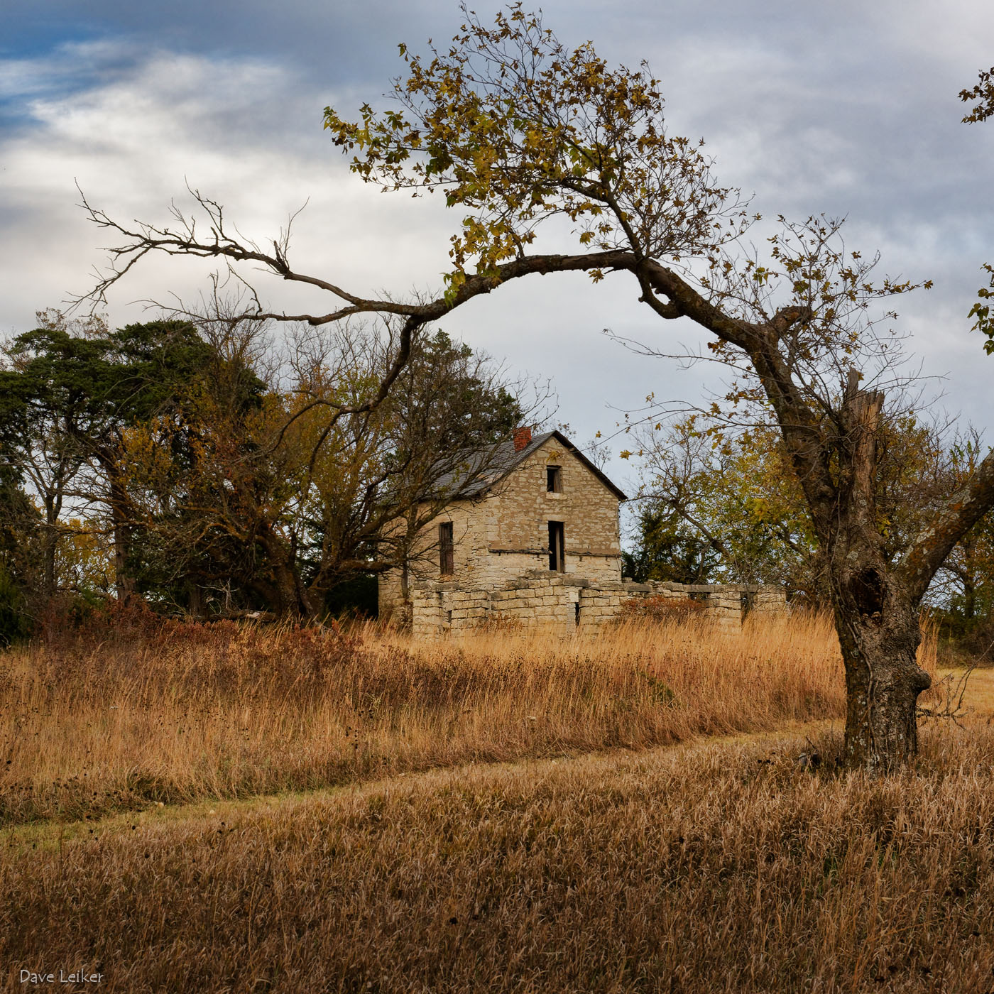 Limestone and Prairie