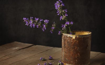 Violet flowers in rusted tin can