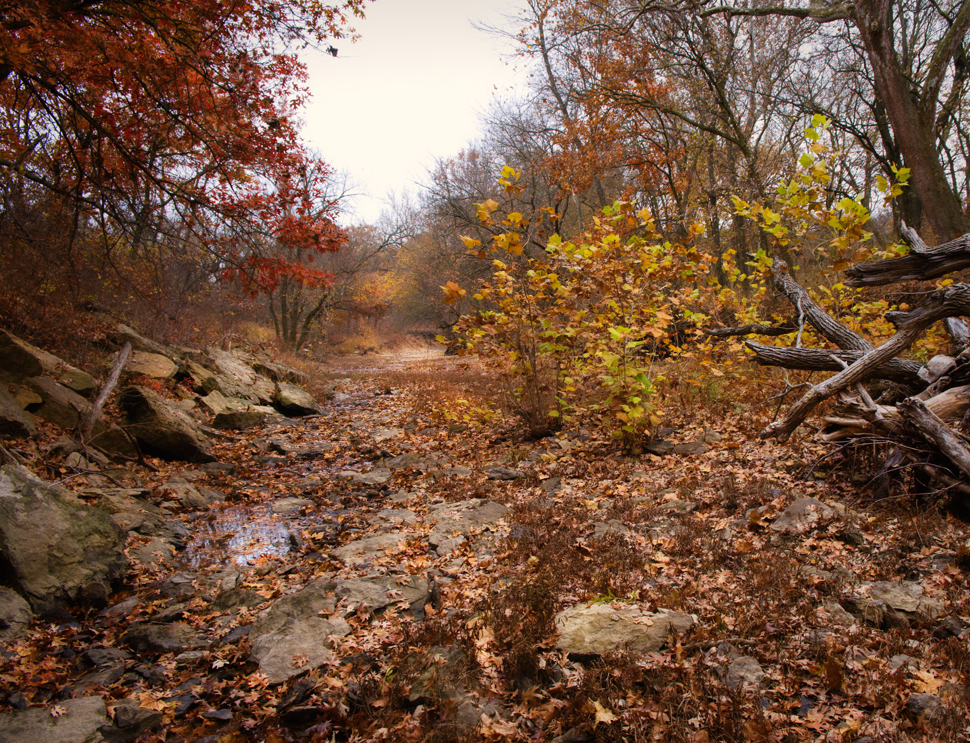 Willow Creek, Greenwood County