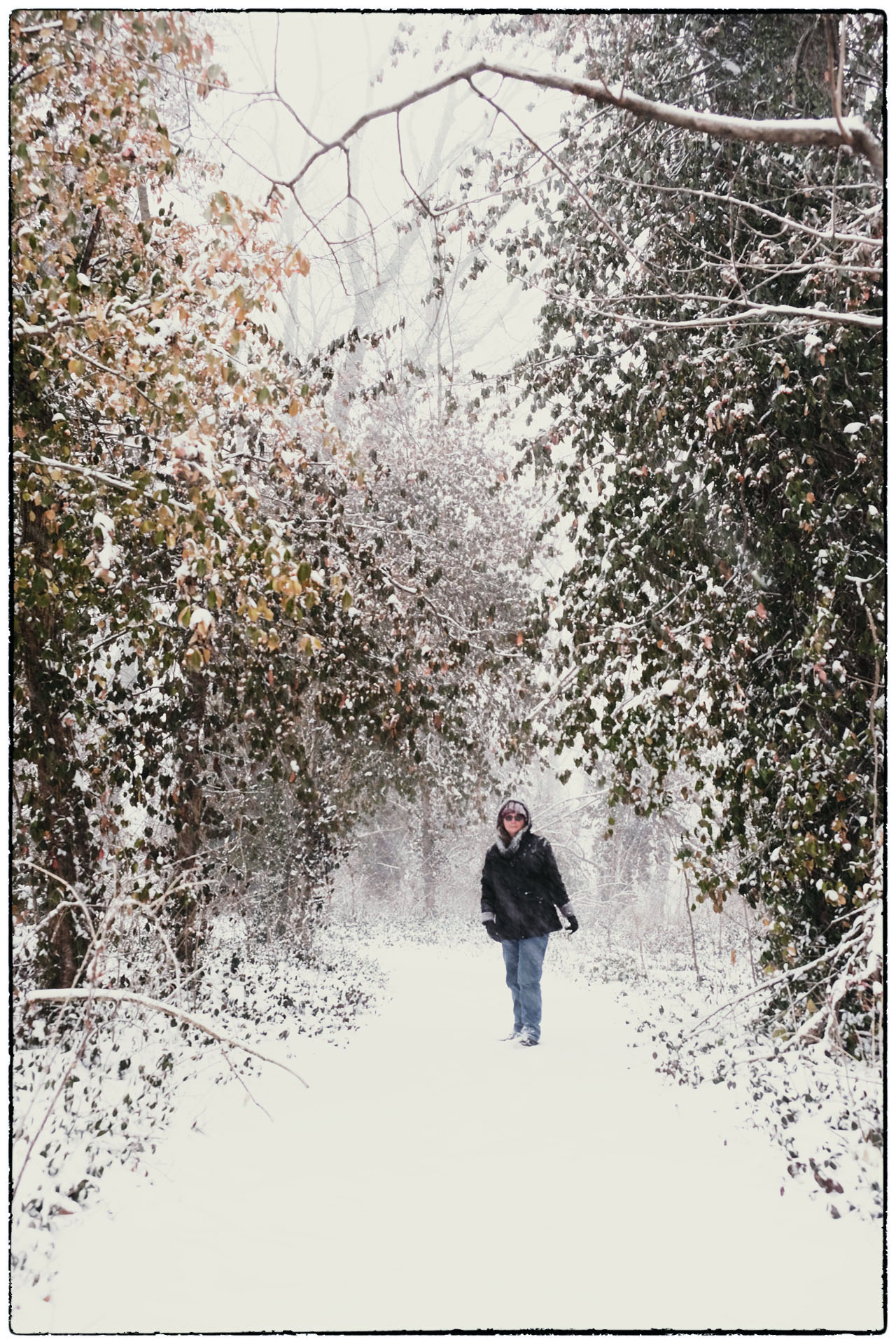 Cheryl Unruh on Snowy Forest Trail